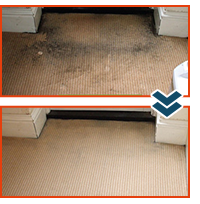 Before and After Cleaning a Carpet
